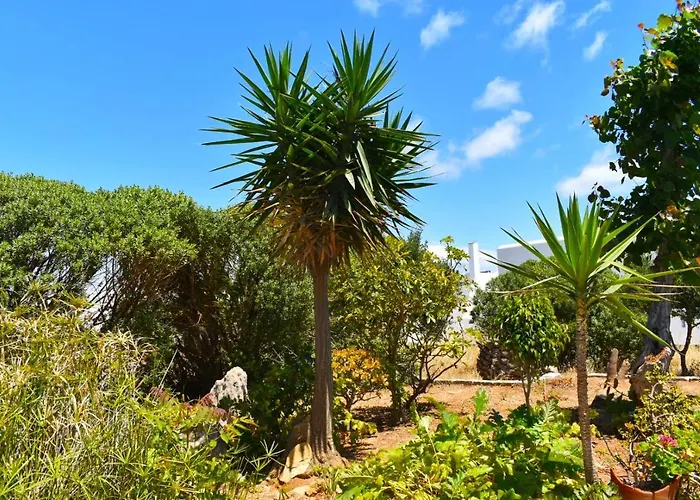 Apartman Apanema Paros